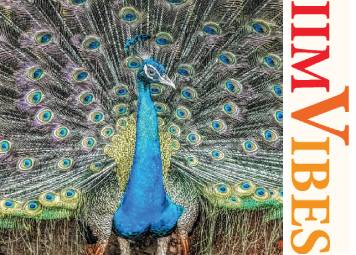IIMV Newsletter